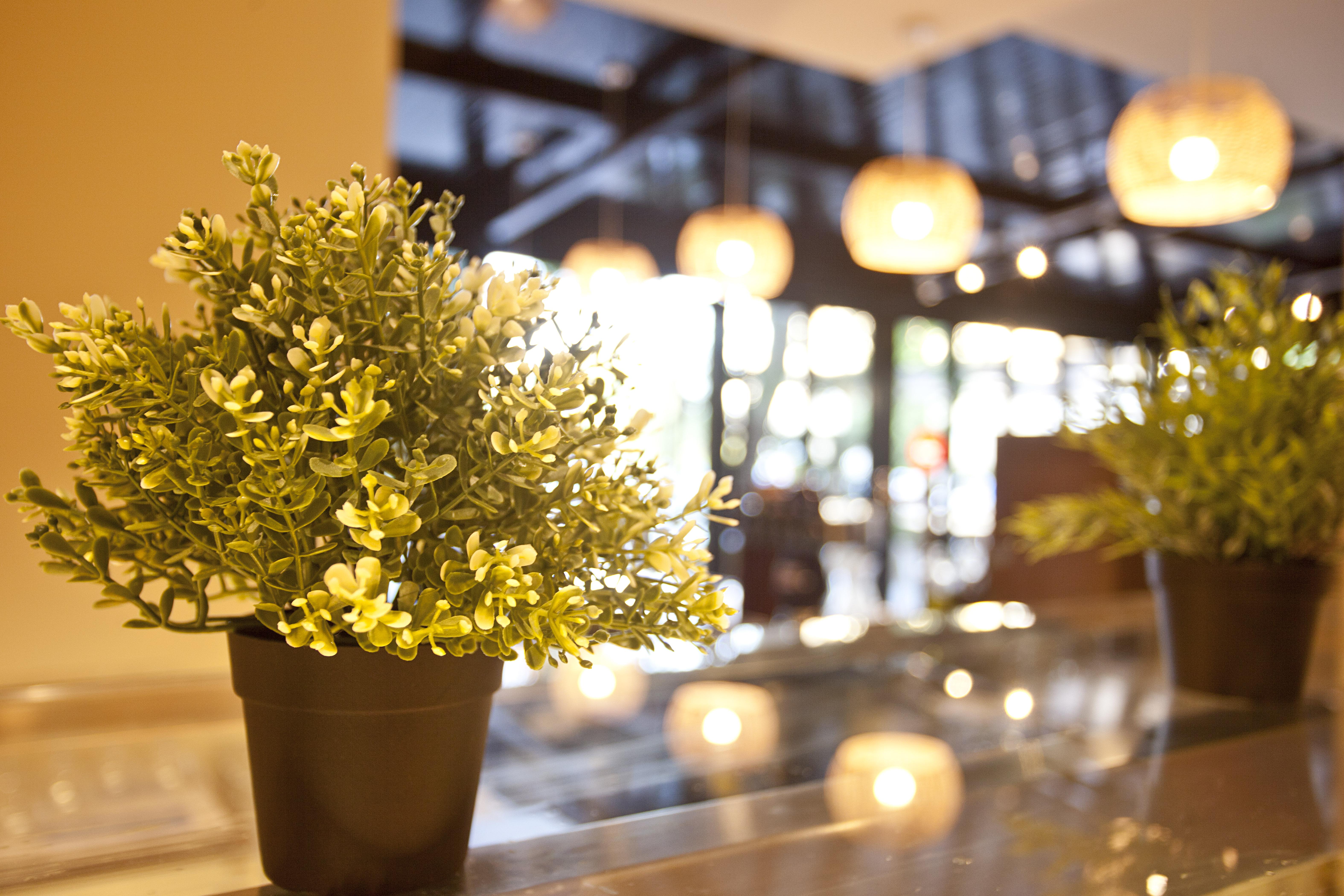 Hotel Bahia Pollensa ปอร์ต เด โปเญนซา ภายนอก รูปภาพ