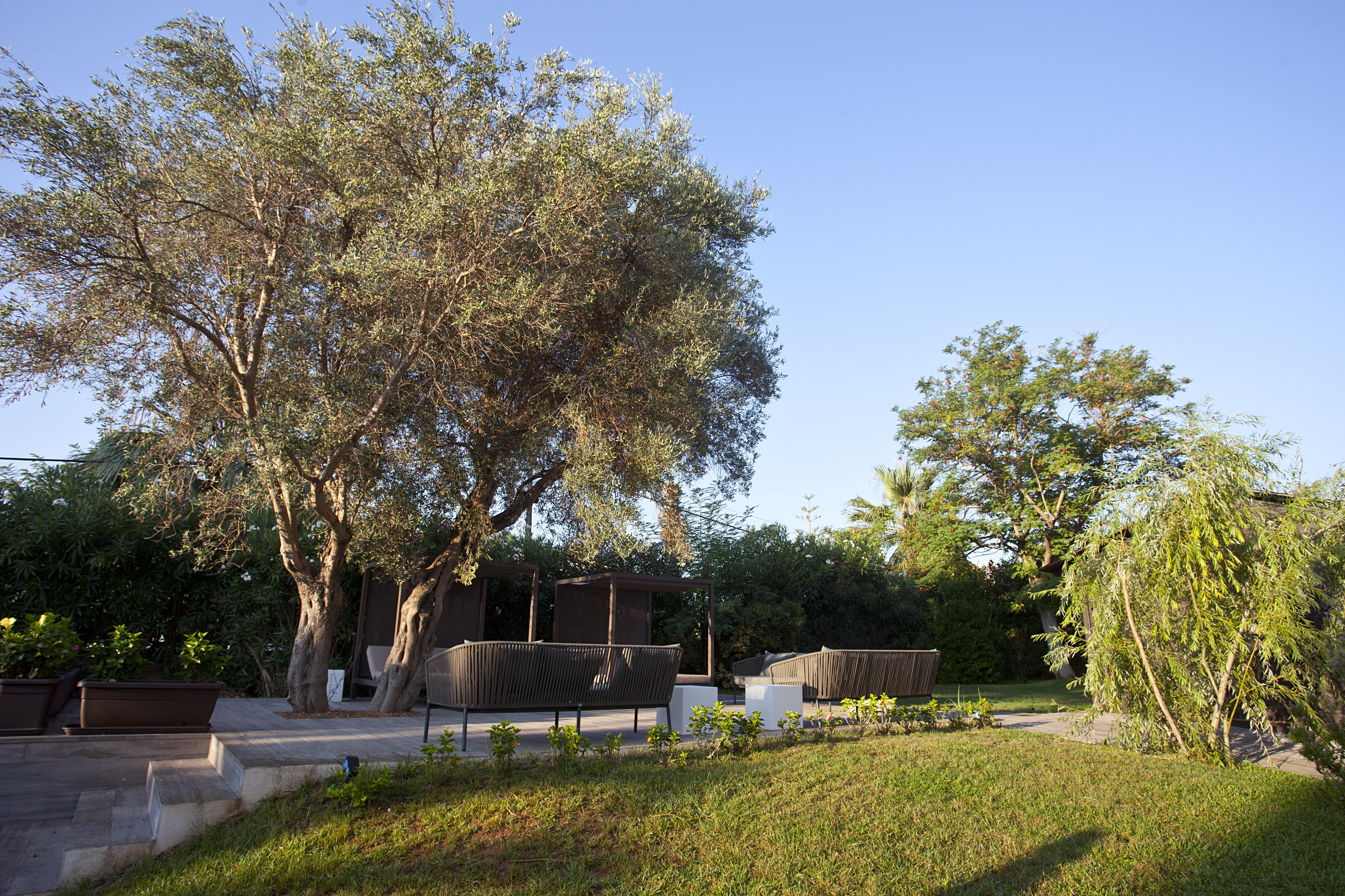 Hotel Bahia Pollensa ปอร์ต เด โปเญนซา ภายนอก รูปภาพ