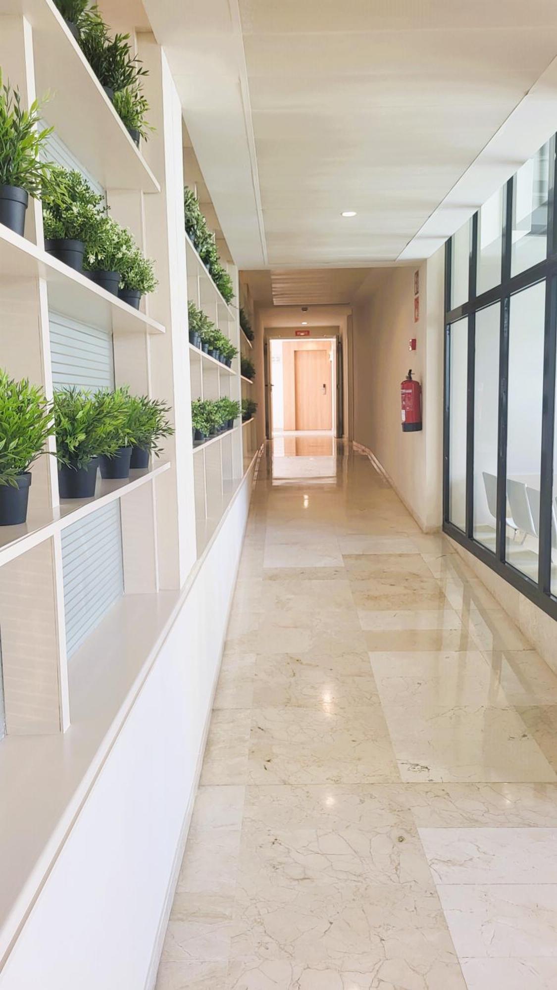 Hotel Bahia Pollensa ปอร์ต เด โปเญนซา ภายนอก รูปภาพ